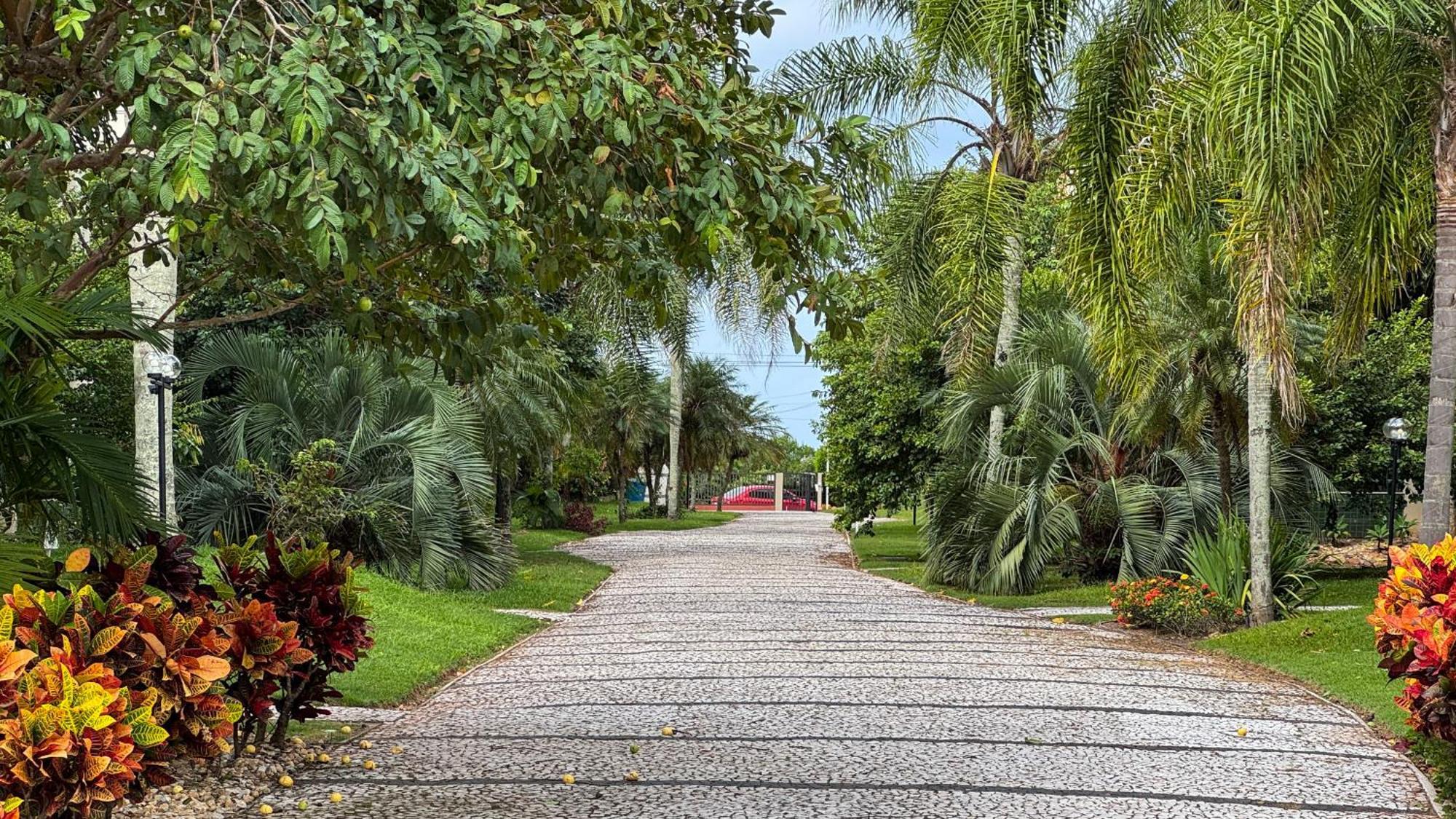 Apto Cond. Porto Ventura 3 Quartos Florianópolis 外观 照片